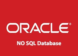 oracle NO SQL Database Training.||BigData Hadoop Using Oracle NoSQL Database