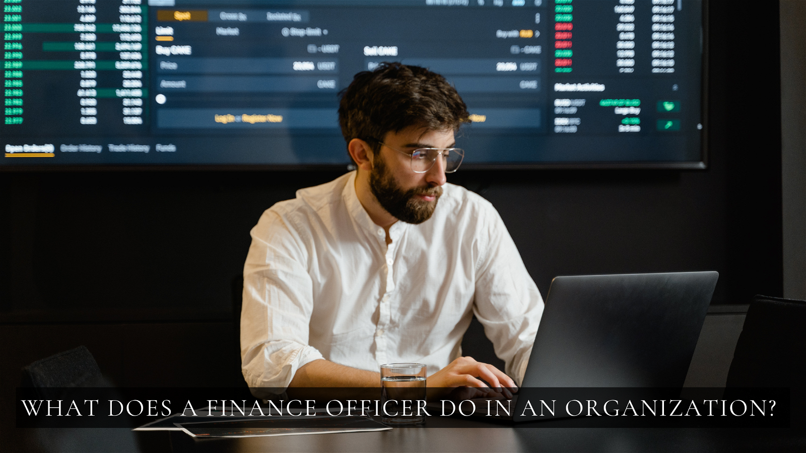What does a Finance Officer do in an Organization