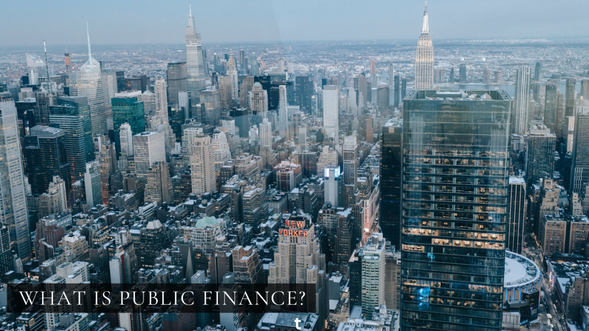 What is Public Finance